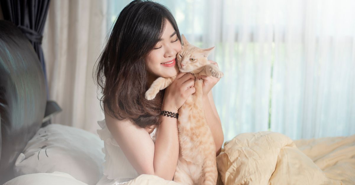 Person playing with a cat